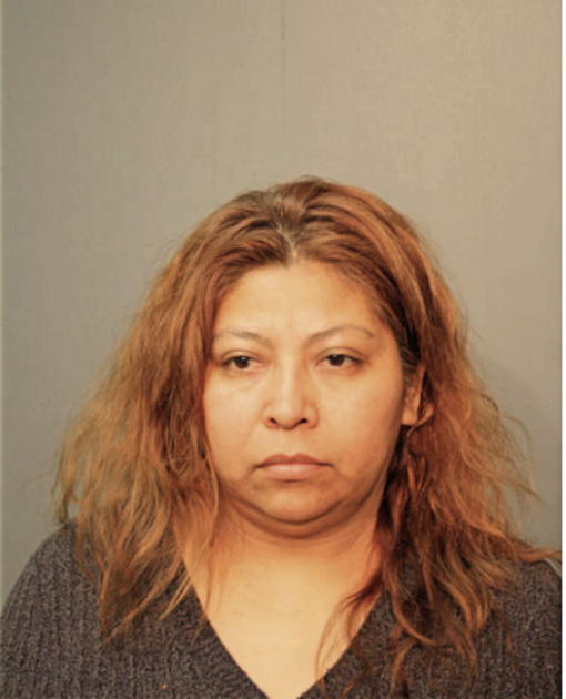 ANA DIAZ, Cook County, Illinois
