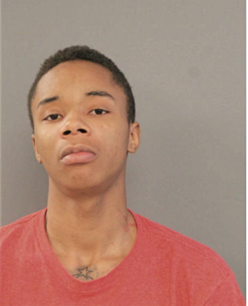 JEROME Q FALKNER, Cook County, Illinois