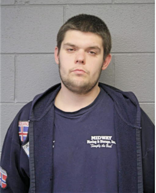 MAXIM GANZENKO, Cook County, Illinois