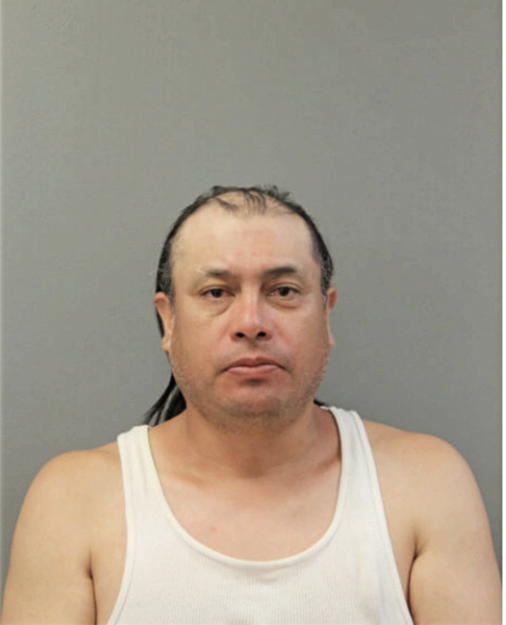 CARLOS GONZALES, Cook County, Illinois
