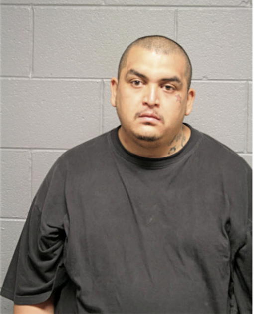 ARTEMIO ARTEAGA GUZMAN, Cook County, Illinois