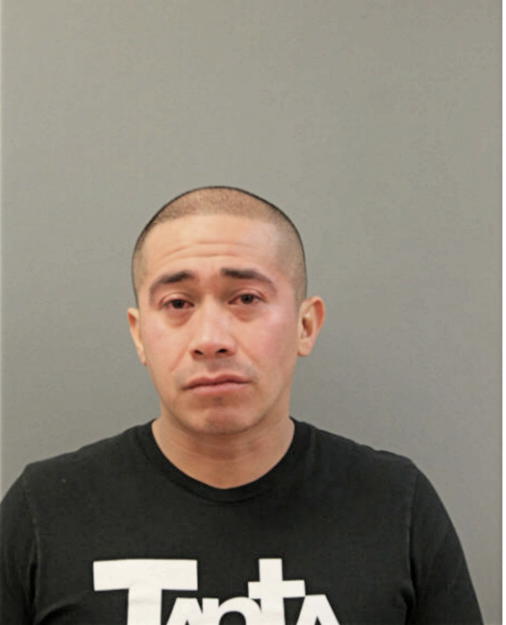 JESUS M HERNANDEZ, Cook County, Illinois