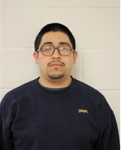 LUIS J MUNIZ, Cook County, Illinois