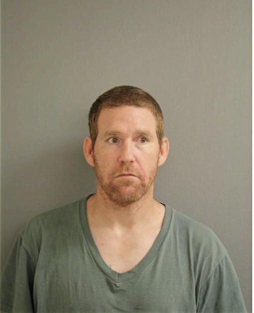 JAMIE L NOLAN, Cook County, Illinois