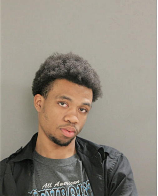 MICHAEL A PHIPPS, Cook County, Illinois