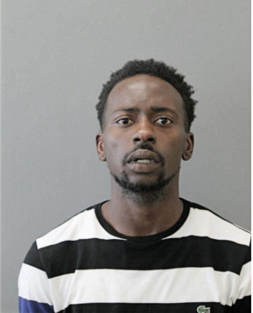 MICHAEL MORAYO ADEDOYIN, Cook County, Illinois