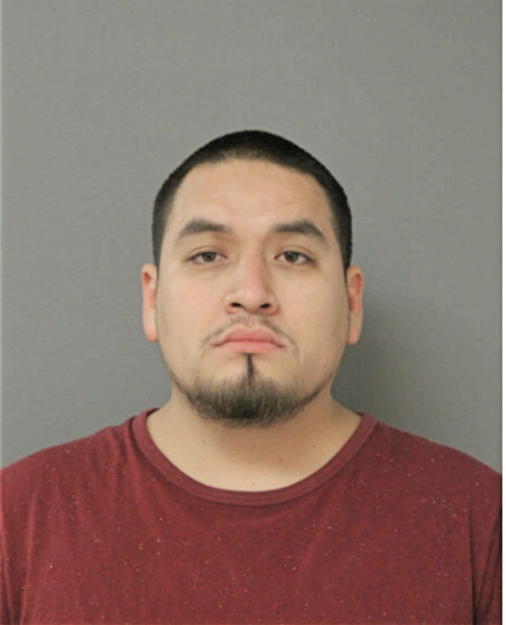 JESUS ALARCON, Cook County, Illinois