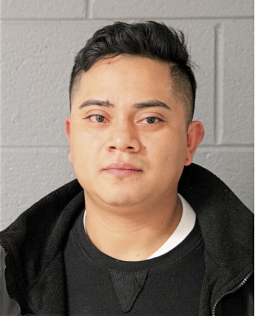 ARTEMIO I ALONSO-GOMEZ, Cook County, Illinois