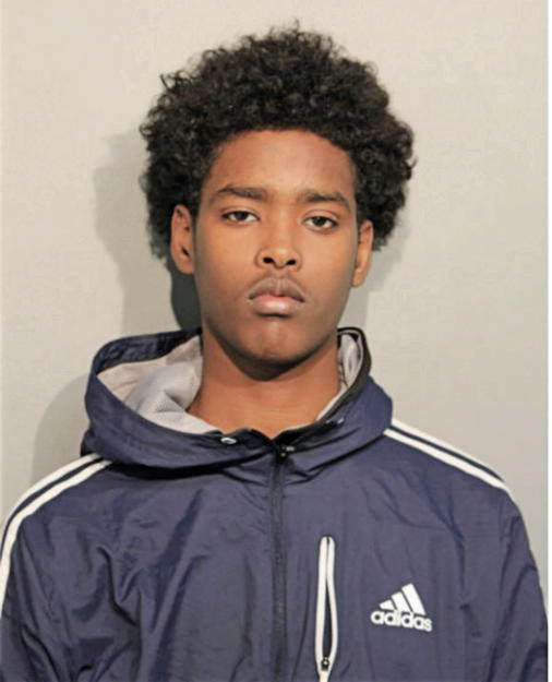 AYUUB ARARSA, Cook County, Illinois