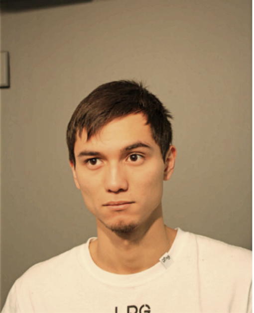 ISRAEL ARAUJO, Cook County, Illinois
