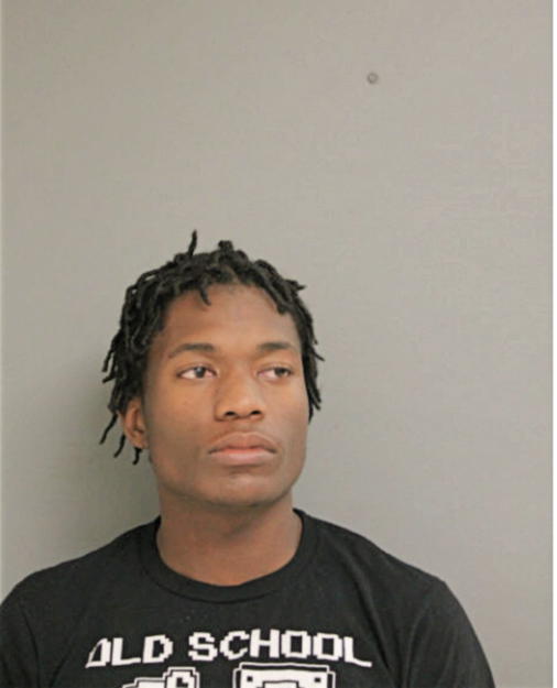 RYAN C BARNES, Cook County, Illinois