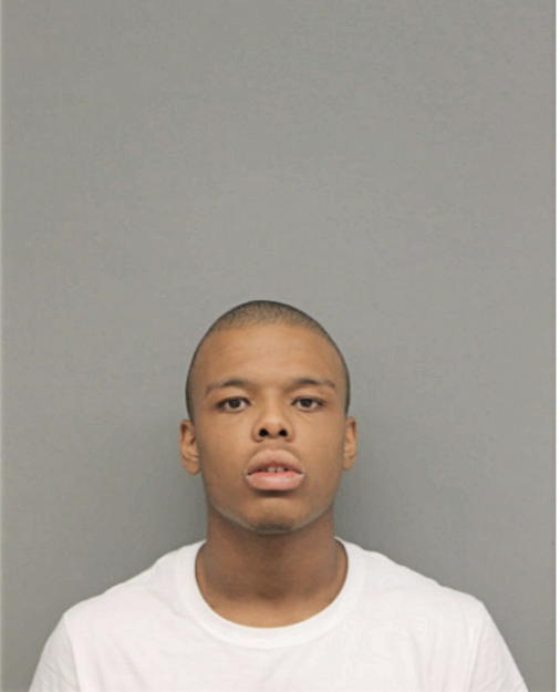 DEVON M BURNETT, Cook County, Illinois
