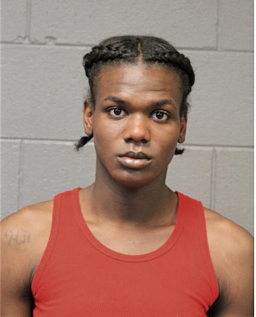 LAWRENCE R COLEMAN, Cook County, Illinois