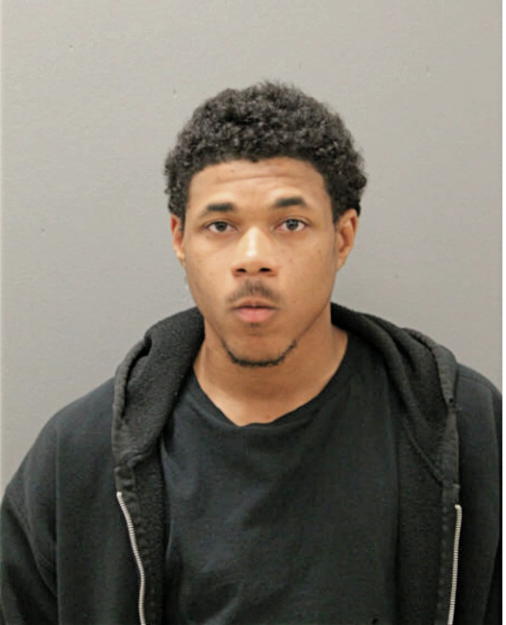 LAMONT L COLLINS, Cook County, Illinois
