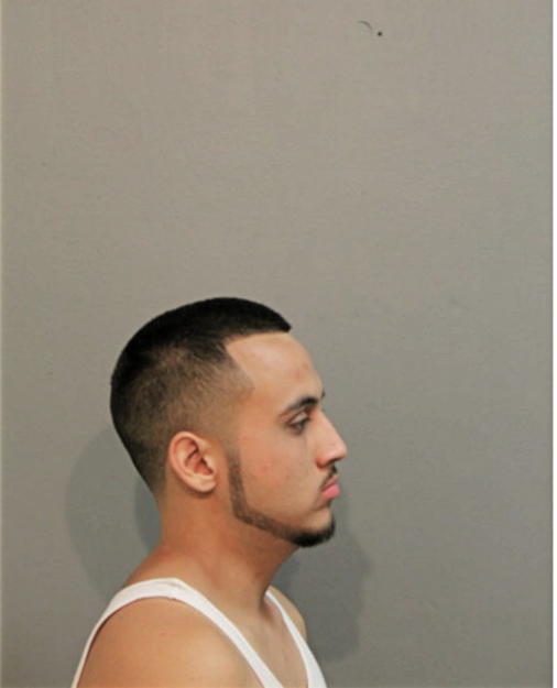 RODOLFO DIAZ, Cook County, Illinois