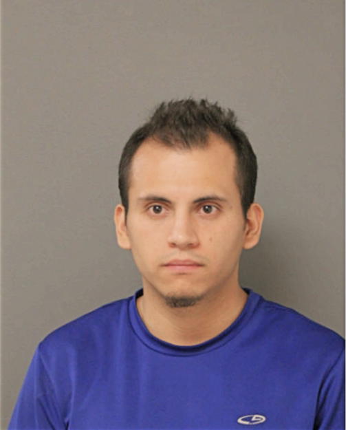 WILSON G FERNANDEZ, Cook County, Illinois