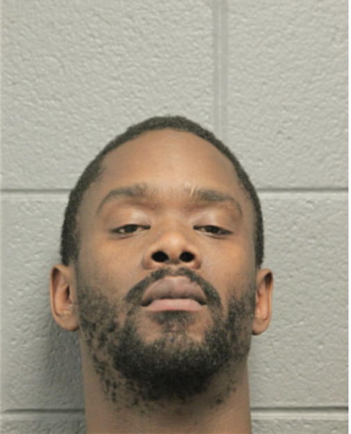 CHRISTOPHER R FORD, Cook County, Illinois