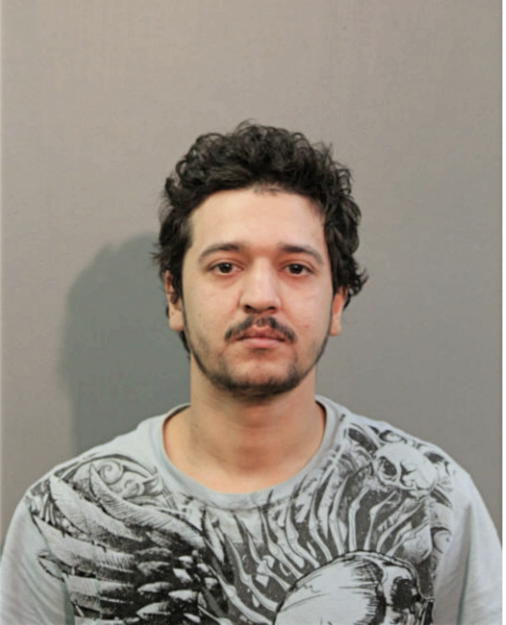 MARIO N FOURNIER, Cook County, Illinois