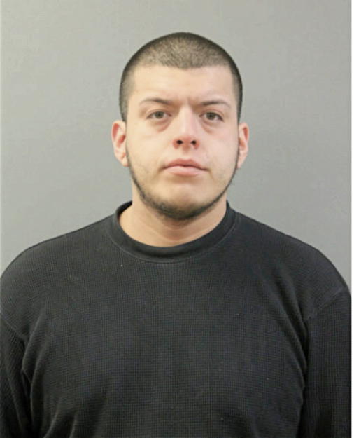 ANDREW L GONZALEZ, Cook County, Illinois