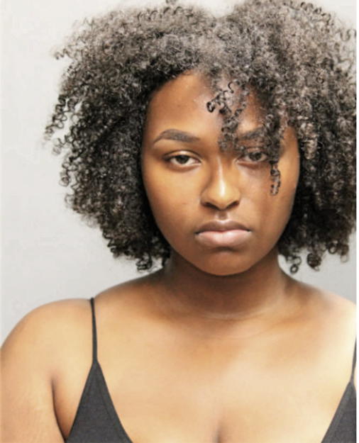 AMYREE HOLMES, Cook County, Illinois