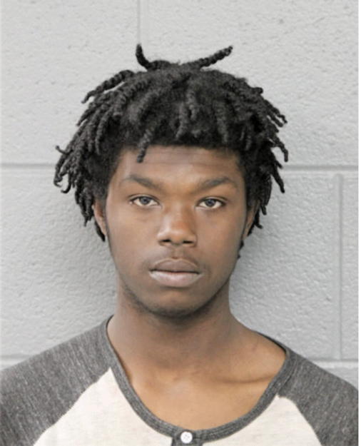TERRY C IVORY, Cook County, Illinois