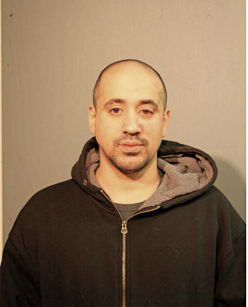 LUIS P LUGO, Cook County, Illinois