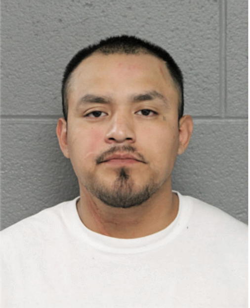ALBERTO MARTINEZ, Cook County, Illinois