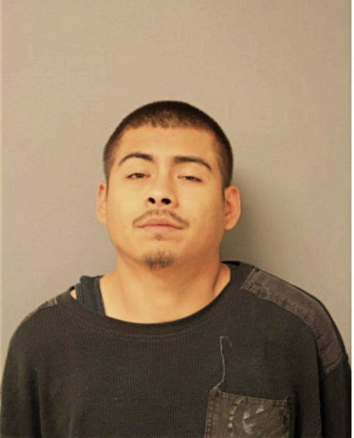 JOSE ERNESTO MARTINEZ, Cook County, Illinois