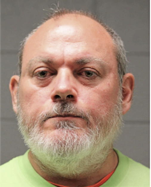 MICHAEL J MCGONAGLE, Cook County, Illinois