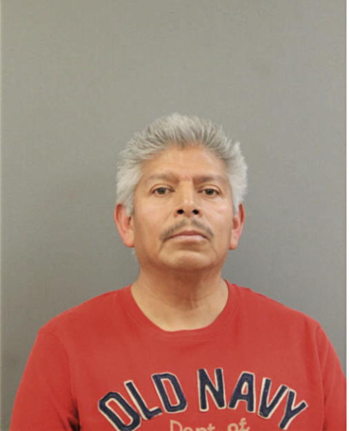 ARMANDO Q MEDINA, Cook County, Illinois