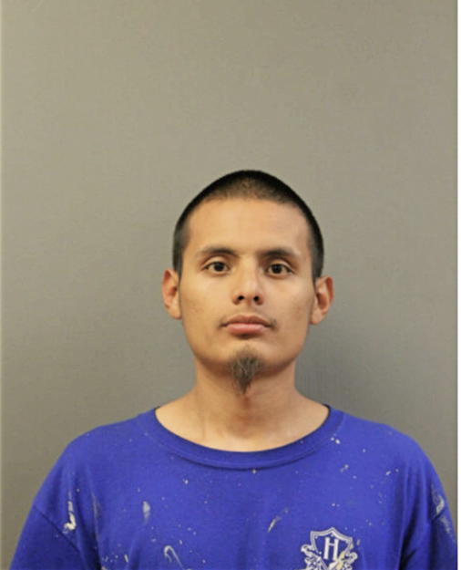 PABLO ORTIZ, Cook County, Illinois