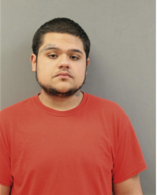 EDGAR PEREZ, Cook County, Illinois
