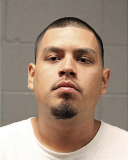 DAVID RODRIGUEZ, Cook County, Illinois
