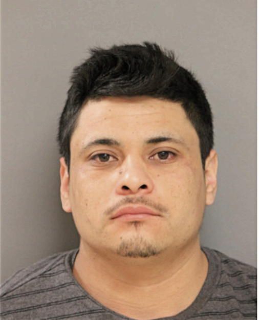 EDGAR SALINAS, Cook County, Illinois