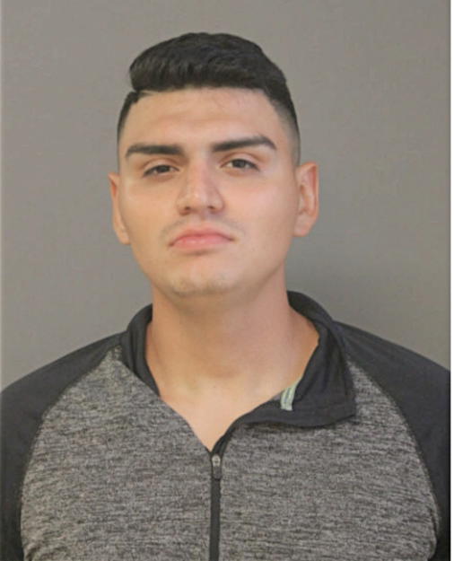 ISSAC TAVIZON, Cook County, Illinois