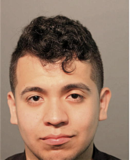 DIEGO M VELA, Cook County, Illinois