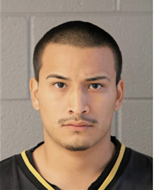 FABIAN VILLAFUERTE, Cook County, Illinois