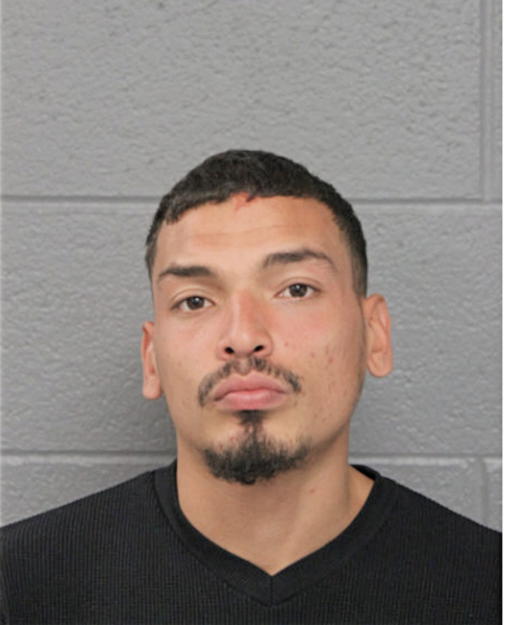 HECTOR G ALVAREZ, Cook County, Illinois