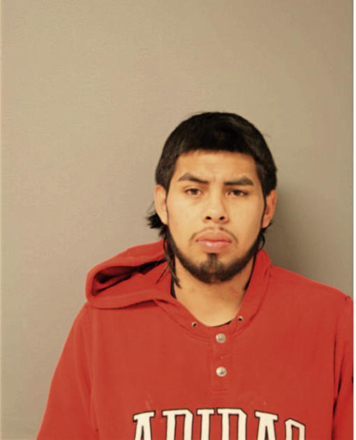 FRANSICO J APOLINAR, Cook County, Illinois