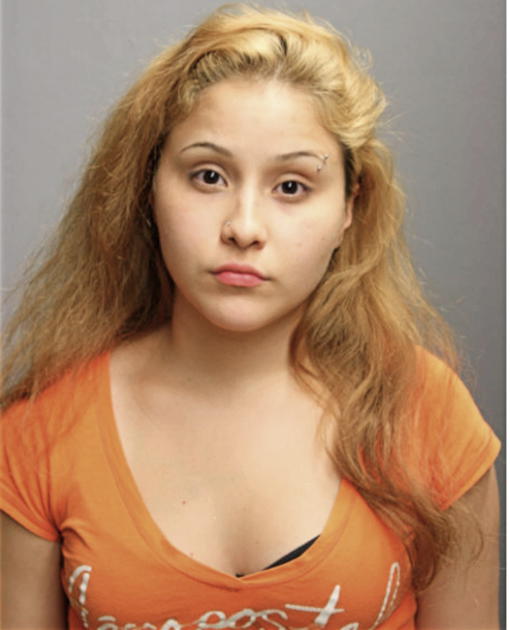 GISELLE A BEDOY, Cook County, Illinois