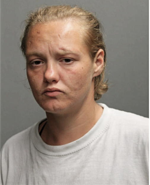 HOLLY G BUTLER, Cook County, Illinois