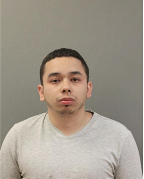 FRANCISCO J DE JESUS, Cook County, Illinois