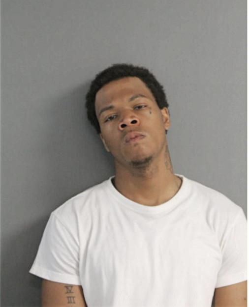 DEVIN T DESPENZA, Cook County, Illinois