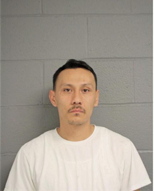 BRIAN N DUTY, Cook County, Illinois