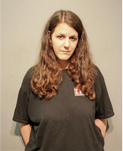 ALLISON C FISHMAN, Cook County, Illinois