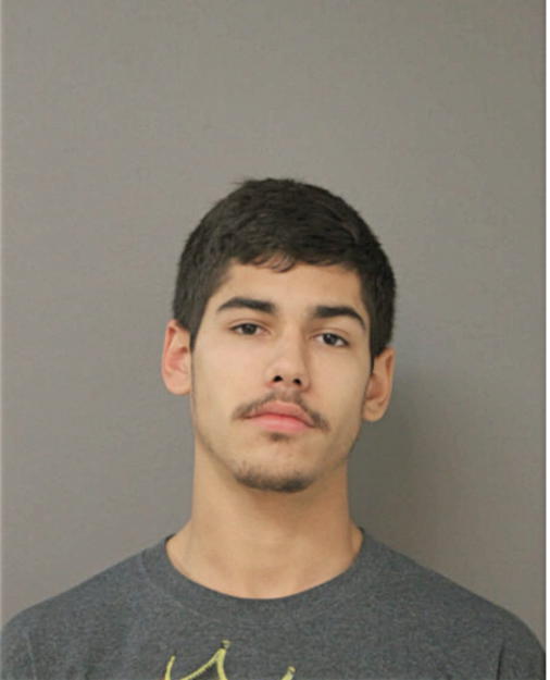 LUIS J GARCIA, Cook County, Illinois
