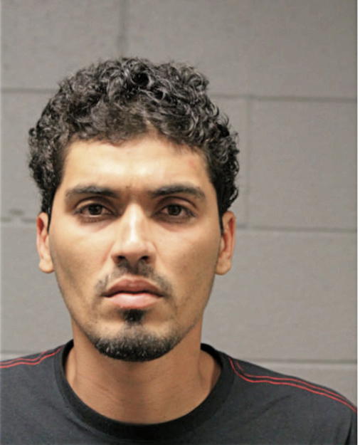 FRANCISCO J GONZALEZ, Cook County, Illinois