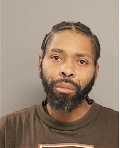 ROBERT L GOODMAN, Cook County, Illinois