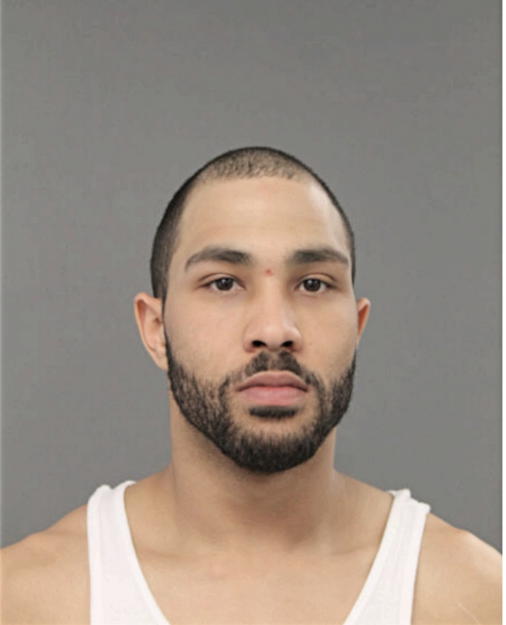 JERRY L GULLEY, Cook County, Illinois