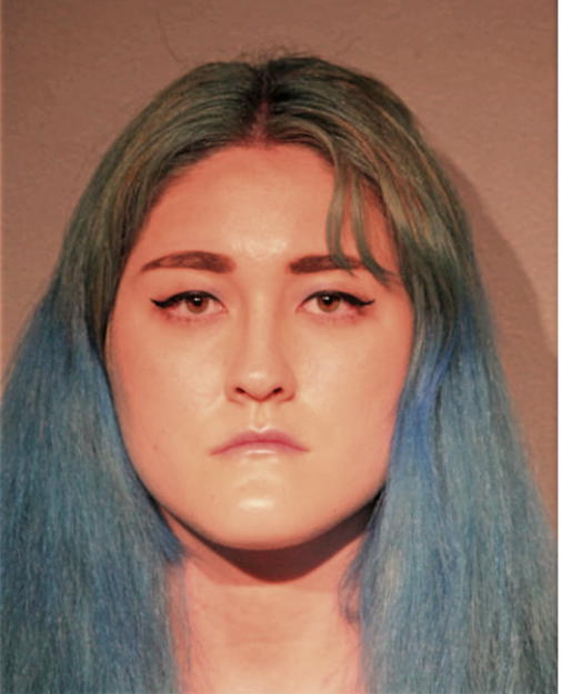 LIZ CAREN HARKNETT, Cook County, Illinois